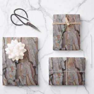 Tree Bark Fall Autumn Patterns  Wrapping Paper Sheet