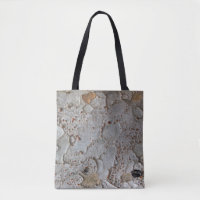 Tree Bark Grey Brown Rustic Wilderness Nature