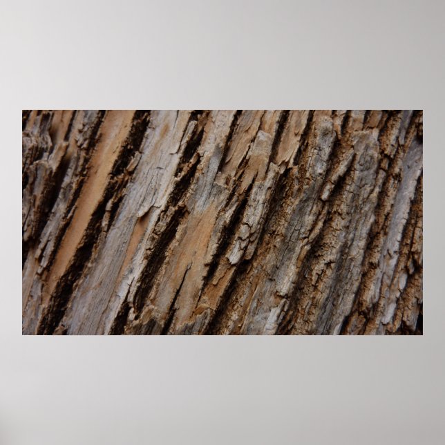 Tree Bark I Natural Abstract Textured Design Poster (Front)