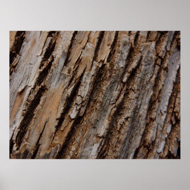 Tree Bark I Natural Abstract Textured Design Poster (Front)