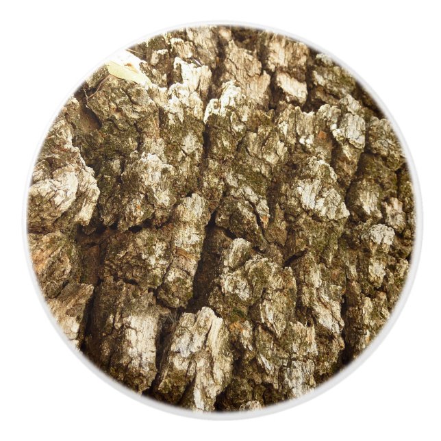 Tree Bark II Natural Textured Design Ceramic Knob (Front)
