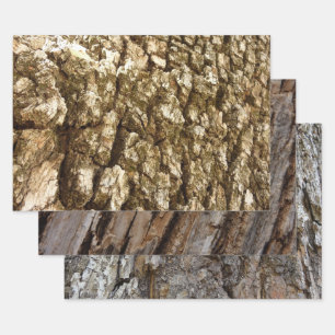 Tree Bark II Natural Textured Design Wrapping Paper Sheet