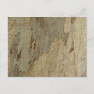 Tree Bark III Natural Abstract Textured Design Postcard
