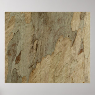 Tree Bark III Natural Abstract Textured Design Poster
