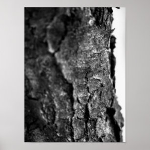 Tree Bark Macro Black and White Poster