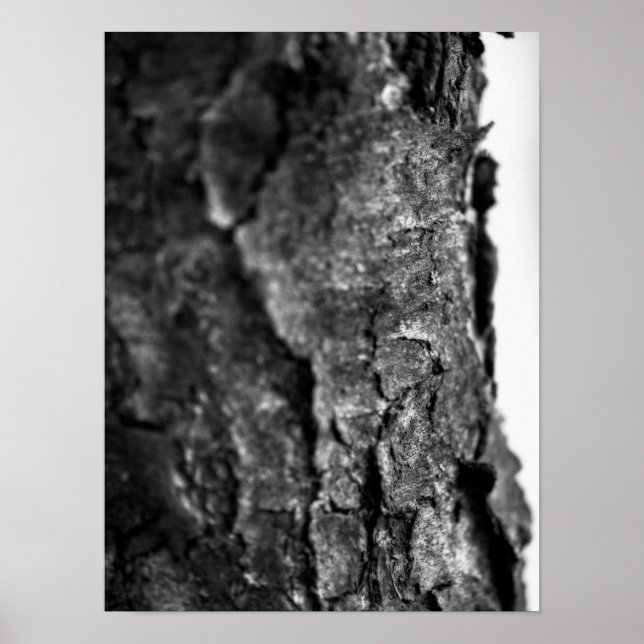 Tree Bark Macro Black and White Poster (Front)