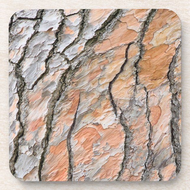 Tree Bark Nature Pattern Coaster (Front)