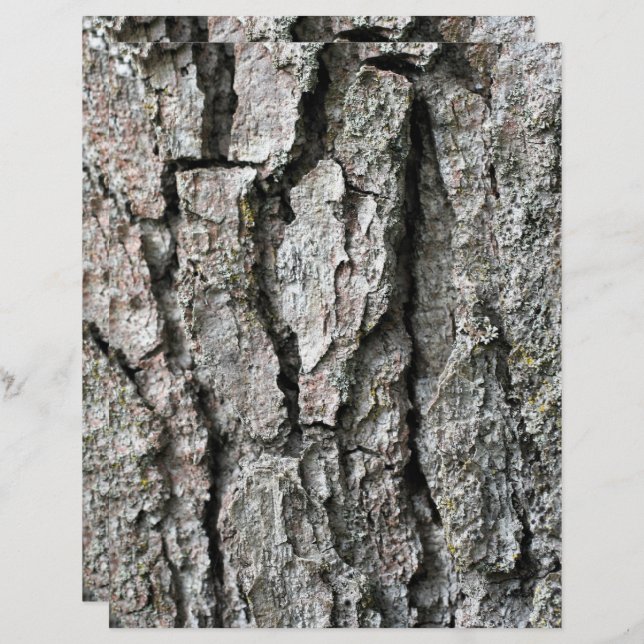 Tree Bark Nature Scrapbook Paper (Front/Back)