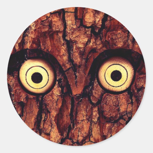 Tree bark owl rustic brown cute classic round sticker (Front)