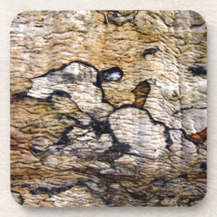 Tree bark pattern coaster