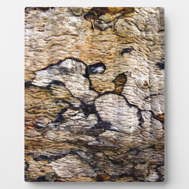 Tree bark pattern plaque (Front)