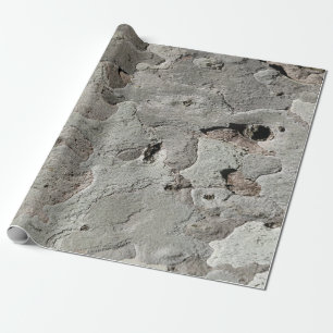 Tree bark pattern wrapping paper