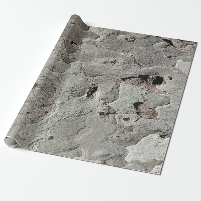 Tree bark pattern wrapping paper (Unrolled)