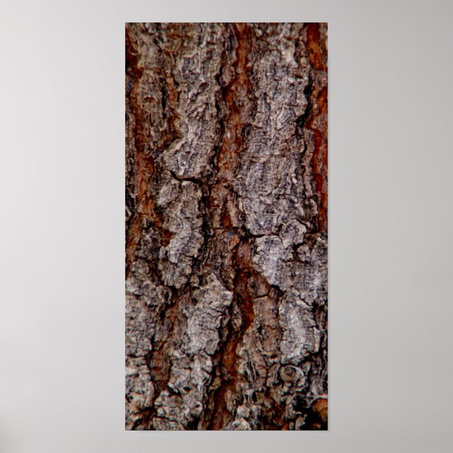 tree bark poster (Front)