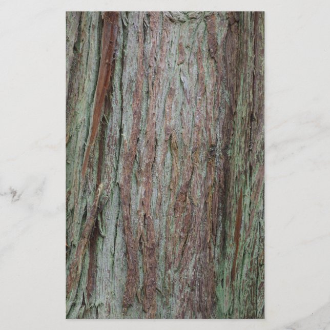 Tree Bark Stationery (Front)