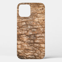 Tree bark texture, natural wood background.