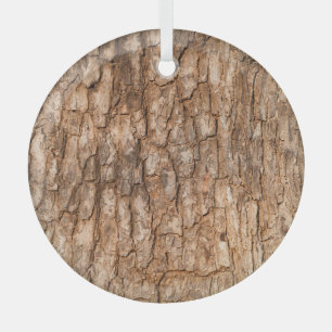 Tree bark texture, natural wood background. glass tree decoration