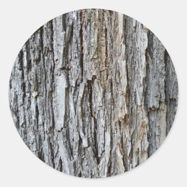 tree bark texture nature pattern background plant classic round sticker (Front)