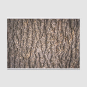Tree Bark Texture Tissue Paper