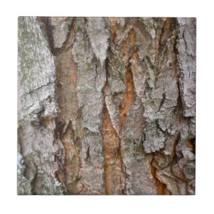 Tree Bark, Wood, Trees Forest Tile
