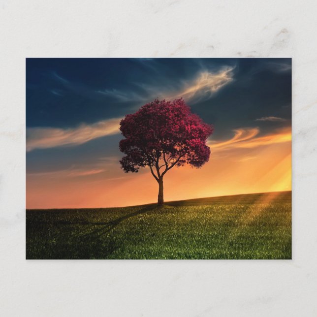 Tree beautiful nature scenery postcard (Front)