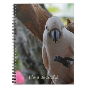Tree Bird Kauai (my photography) Notebook