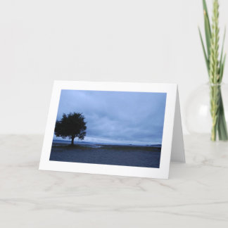 tree - blank inside card