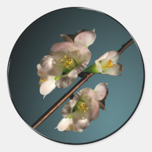 Tree Blossom Envelope Seal