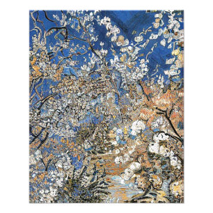 TREE BLOSSOM PHOTO PRINT