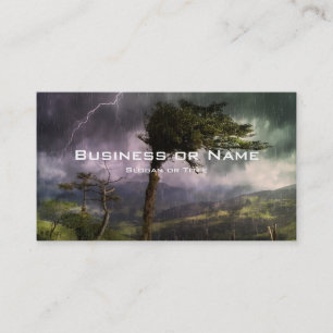 Tree Blowing in the Wind During a Thunder Storm Business Card