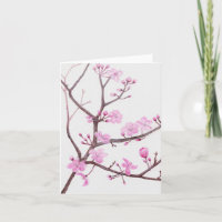 Tree branch blossoming with pink flowers in spring