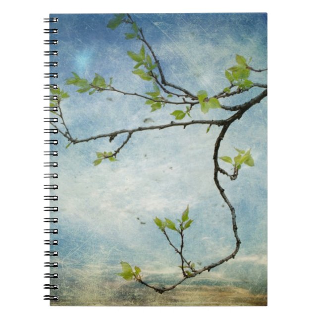 Tree Branch Over Textured Sky Notebook (Front)