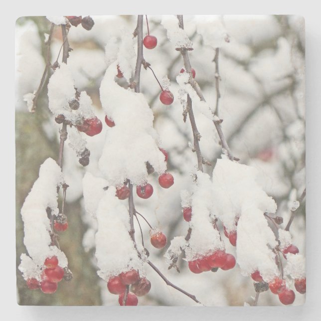 TREE BRANCH STEMS /DANGLING RED BERRIES IN SNOW STONE COASTER (Front)