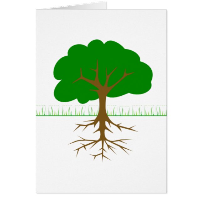 Tree Branches and Roots (Front)