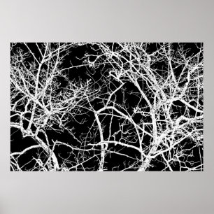 Tree branches on black background poster