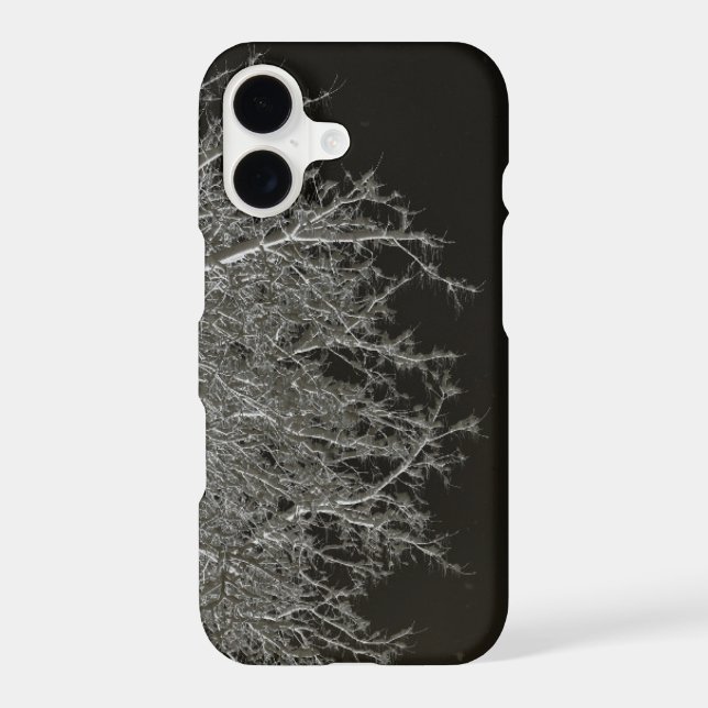 Tree branches Photo Negative (Back)