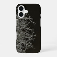Tree branches Photo Negative