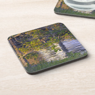Tree Branches, Sunlight, Reflection Coaster