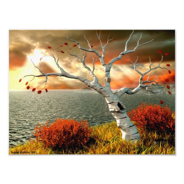 Tree by the Ocean Photo Print (Front)