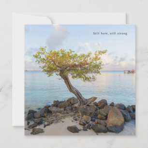 Tree by the ocean, Still Here, Encouragement Card