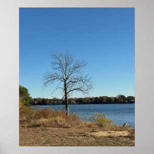 Tree by the River Poster