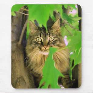 Tree Cat Mousepad
