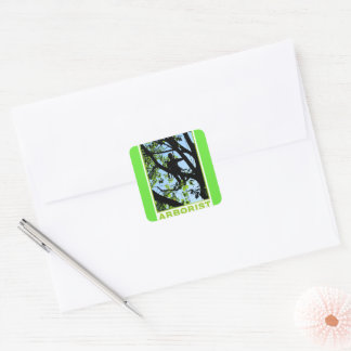 Tree Climber Silhouette: Arborist Square Sticker