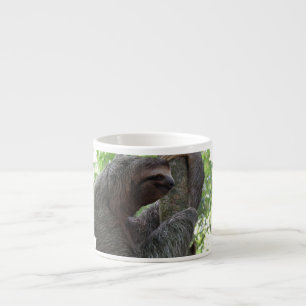 Tree Climbing Sloth Speciality Mug