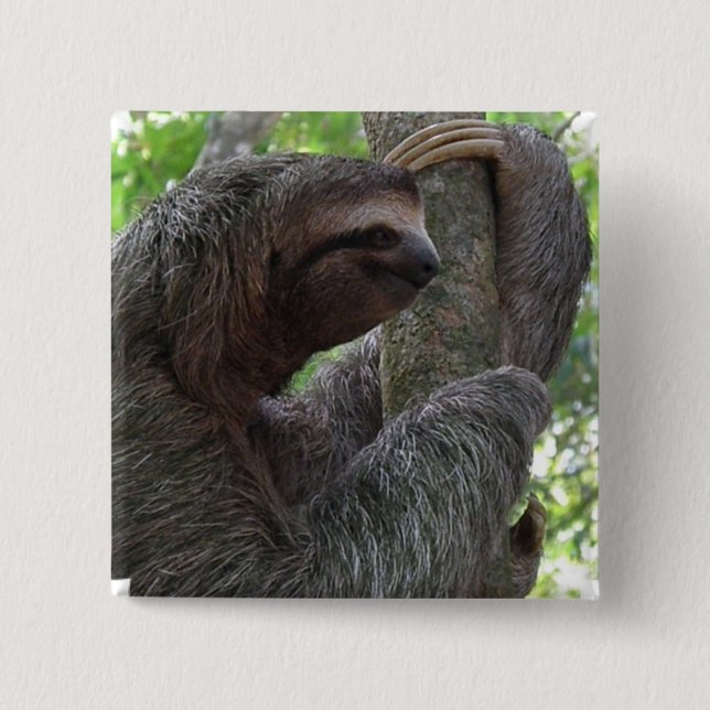 Tree Climbing Sloth Square Pin (Front)