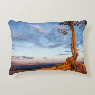 Tree Clings to Ledge, Bryce Canyon National Park Decorative Cushion