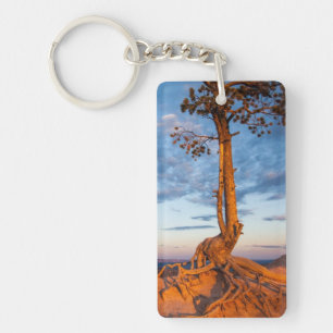 Tree Clings to Ledge, Bryce Canyon National Park Key Ring
