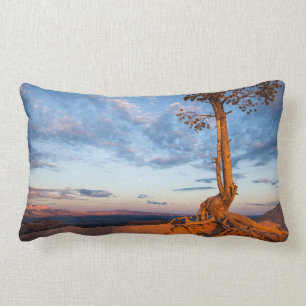 Tree Clings to Ledge, Bryce Canyon National Park Lumbar Cushion