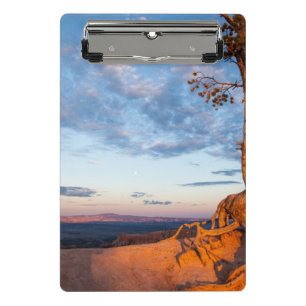 Tree Clings to Ledge, Bryce Canyon National Park Mini Clipboard