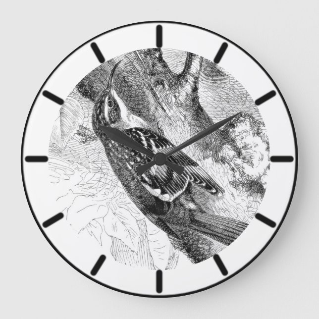 Tree Creeper British Bird Large Clock (Front)